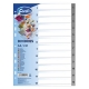 Skiriamieji lapai FOROFIS, A4, plastikiniai, 1-12, 130mkr, pilkos sp.