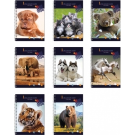 Bloknotas ANIMAL WORLD, EconoMix, A6, 48 lapai, 60gsm, plastikinis viršelis, su spirale šone
