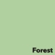 Spalvotas popierius Image Coloraction, A4, FOREST (žalia), 160gsm, 250 lapų