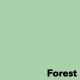 Spalvotas popierius Image Coloraction, A4, FOREST (žalia), 80gsm, 500 lapų