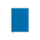 Darbo knyga-kalendorius BUSINESS DAY, Timer, 2023m., A5, PU, mėlynos sp.