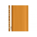 Plastikinis segtuvėlis skaidriu viršeliu, EconoMix, A4+, su perforacija, oranžinės sp.