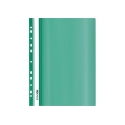 Plastikinis segtuvėlis skaidriu viršeliu, EconoMix, A4+, su perforacija, žalios sp.