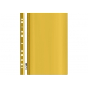 Plastikinis segtuvėlis skaidriu viršeliu, EconoMix, A4+, su perforacija, geltonos sp.
