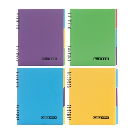 Bloknotas NOTEBOOK, EconoMix, B5, langeliais, 120 lapų, 60gsm, su spirale šone, plastikinis viršelis